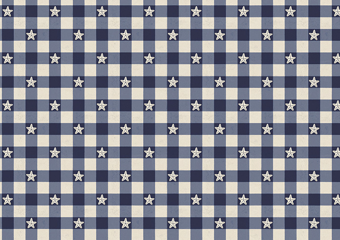 Whaley Great, Gingham Star Shore - Made to Measure Curtains - Image 8